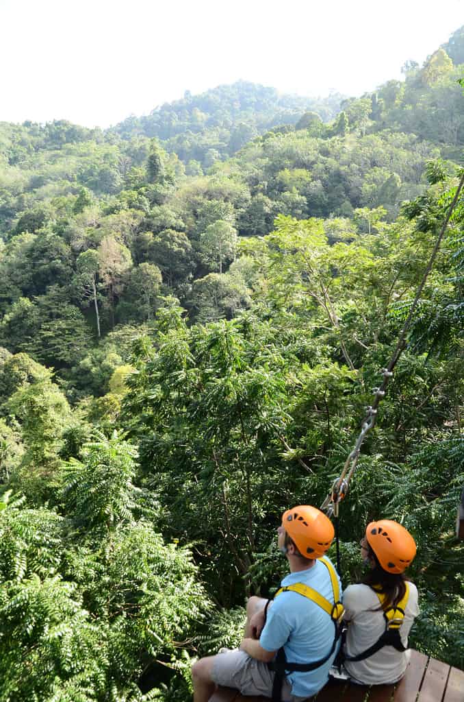 Hanumans Rainforest View