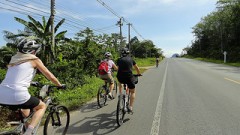 Fahrradtouren Phuket - Krabi