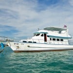Phuket Booze Cruise Charters