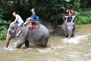 Phuket Wildwasser Rafting mit Elefantenreiten
