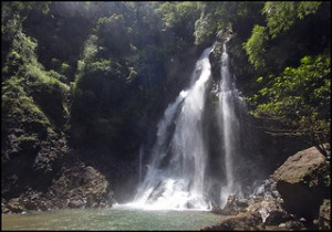 Schildkroeten & Wasserfall
