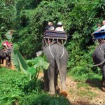Elephant Trekking in Kapong Safari Ausflug, Thailand