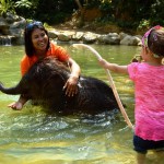 Phuket Tours into Phang Nga - Baby Elephant Bathing in Kapong