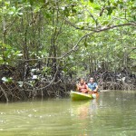 Krabi Tours Kayaking