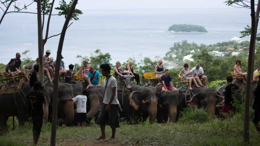 Elephant Trekking Phuket - Group Picture