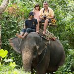Elephant Trekking Phuket - Jungle Ride