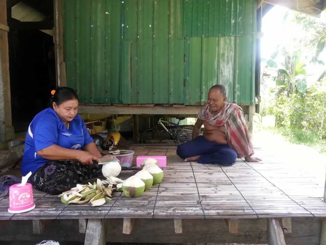 Koh Yao Noi - Coconut Farmers