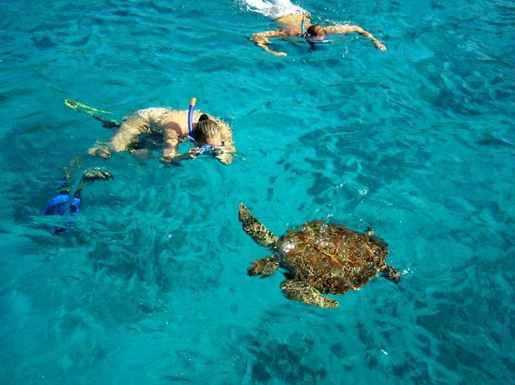 similan islands snorkeling tours