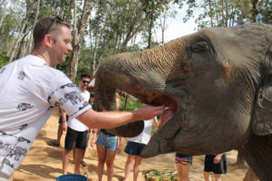 Elephant Sanctuary Phuket Feeding