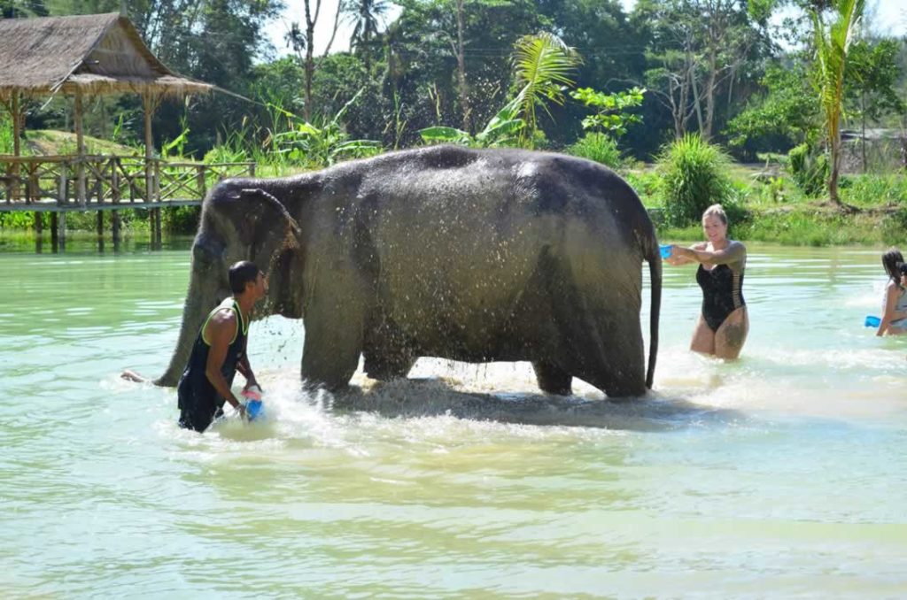 escursione elefanti Phuket - party degli elefanti